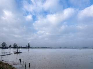 Fototapeta premium Rivier de Lek bij Beusichem bij hoogwater