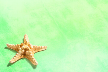 Fototapeta na wymiar Single starfish on a green summer background