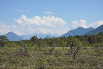 Panorama von der Moorlandschaft Eulenau bei Bad Aibling/Bad Feilnbach