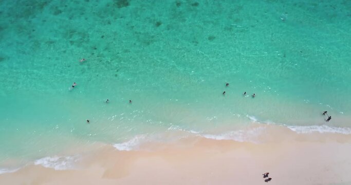 Pink sand and turquoise water beach top down view. People relax, swim, snorkel, sunbathe on perfect tropical shore. Nature background. Exotic summer vacation. Travel, outdoor tourism. Drone flight