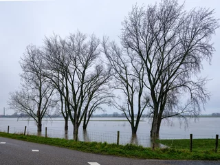 Fototapeten Hoogwater op de rivier De Lek gezien vanaf de Lekbandijk bij Ravenswaaij © Holland-PhotostockNL