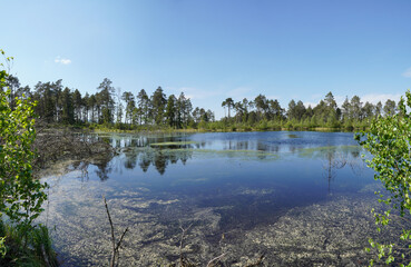 Spannende Moorlandschaft Eulenau bei Bad Aibling/Bad Feilnbach