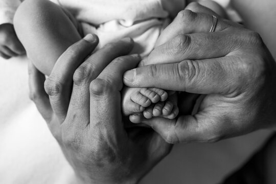 hands of parents. the legs of the newborn in the hands of mom and dad. baby's legs in his hands. black and white pictures