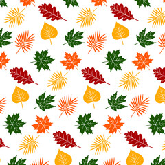 vector pattern illustration leaf autumn abstract graphic design  tree background art yellow floral orange wallpaper fabric summer spring style beautiful green colorful print jungle paper backdrop 
