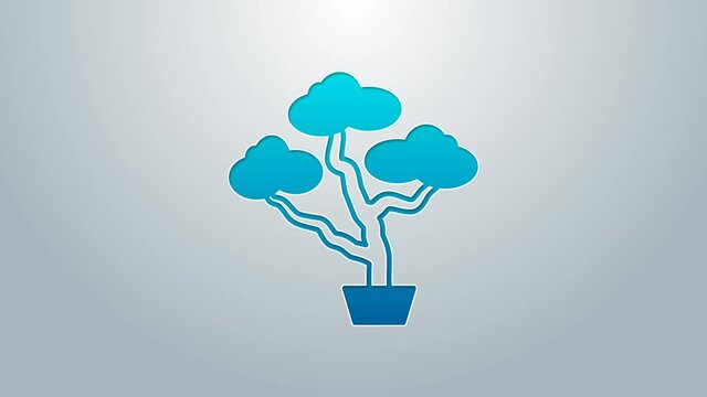 Blue line Japanese bonsai tree icon isolated on grey background. Japanese culture, horticulture, olericulture hobby concept. 4K Video motion graphic animation