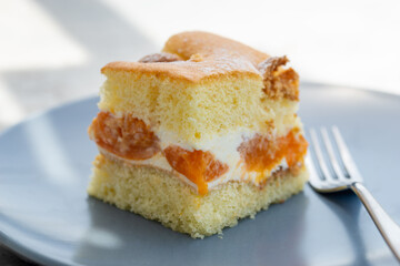 apricot cake with mascarpone on a plate