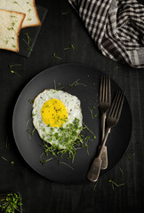 Egg, Microgreens, Breakfast, Continental, Rustic Setup