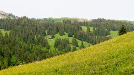 Fototapeta na wymiar Alpine landscape in early summer 