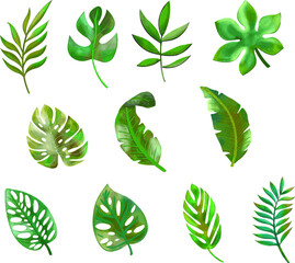 Set of Vector Watercolor Tropical Leaves. Handpainted Leaves Floral illustration