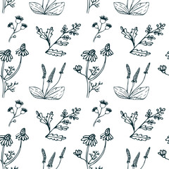 Seamless pattern with healing herbs in sketch style. Sketch of a flower ear. Vector illustration isolated on white background.