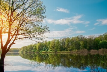 Landscape of plain lake and reflection