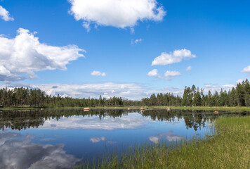 Fototapeta na wymiar travel sweden and scandinavia, beautiful lake covered with trees and blue sky and white clouds above
