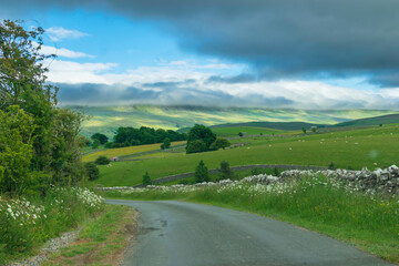 Fototapeta premium landscape with road