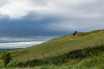 Obraz premium landscape with sky