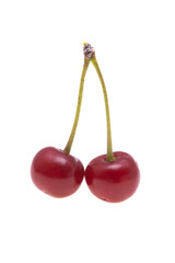 cherries isolated