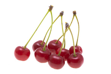 cherries isolated