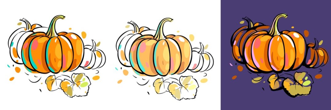 Set of colorful pumpkins with autumn leaves. Black outline and colored spots. Sketch style. Image isolated on white and purple background. 