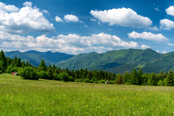 Fototapeta na wymiar Green summer meadows and mountains at background