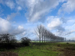 Foto auf Leinwand Landschap Betuwe aan de Lek bij Beusichem © Holland-PhotostockNL