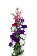Bouquet of violet, white, pink flowers Eustoma ( Texas bluebells, bluebell, lisianthus, prairie gentian ) on a white background. Top view, flat lay