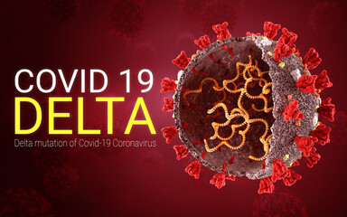 COVID 19 coronavirus Delta variant Sars ncov 2 2021. Delta Strain. Coronavirus delta mutation. B.1.617.2
E484Q L452R. 3D illustration