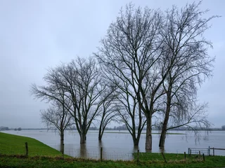 Foto auf Alu-Dibond Hoogwater op de rivier De Lek gezien vanaf de Lekbandijk bij Ravenswaaij © Holland-PhotostockNL