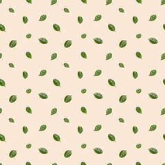 Seamless pattern from natural green leaf, geometric arrangement small fresh leaves of spring plant.