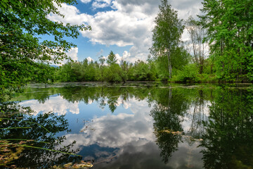 Fototapeta na wymiar Reflection of sky in pond