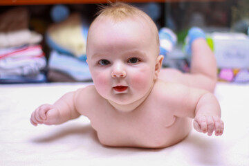 a newborn baby is lying on its stomach. chubby boy. folds