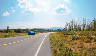 Rural road with tree and curve.