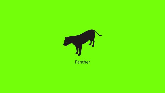 Panther icon animation
