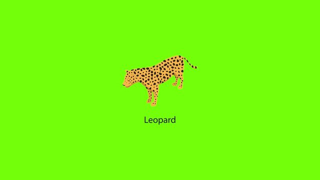 Leopard icon animation