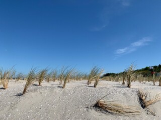 Strand Loddin 