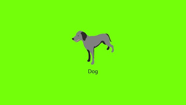 Dog icon animation