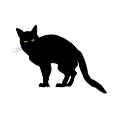 Silhouette of Black evil Cat with yellow eyes. Vector illustration of Scary pet on white isolated background. Design for Halloween