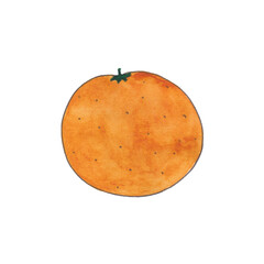 Ripe round orange. Watercolor illustration 