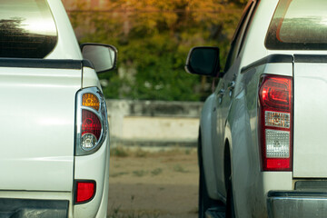 Rear side of two white pick-up car parking on the beside of soil road. Day time and bakcground...