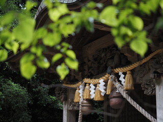 神社のしめ縄