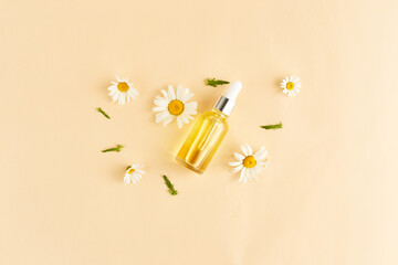 Organic vegan natural cosmetics for hair. Flat Lay composition of Chamomile flowers and cosmetic bottles with essential oil. Natural beauty. top view. Space for text