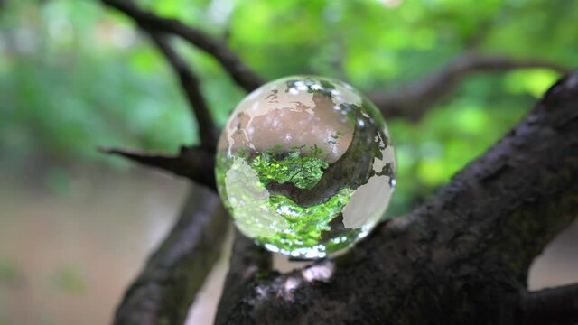 Glass earth globe in a tree by a stream.
Glass sphere with an earth map etched onto it perched on a tree branch by a muddy stream.