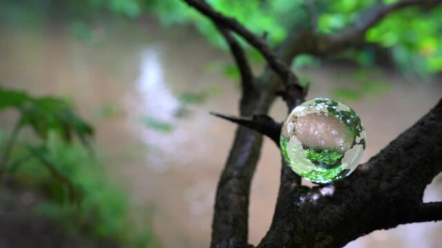 Glass earth globe in a tree by a stream.
Glass sphere with an earth map etched onto it perched on a tree branch by a muddy stream.