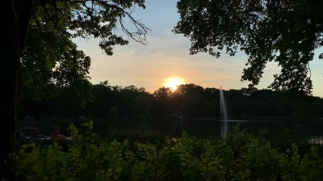 Sun is setting over high trees of a city park in this time lapse video.