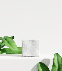 White product display podium with nature leaves. 3D rendering	
 - obrazy, fototapety, plakaty