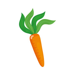 Isolated carrot vegetable