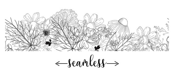 seamless border with medicinal herbs. vector template. Wild medicinal plants. Retro flowers. Hand drawing illustration. Engraving style. Botanical illustration. Pharmacy herbs labels. Fresh local org