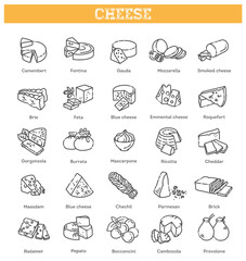 Cheese collection. Vector illustration of cheese types