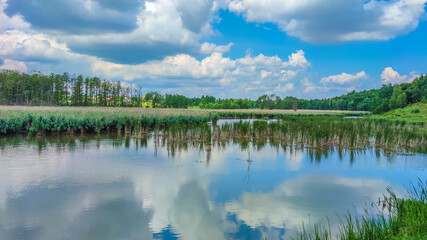 Landscape with a lake and clouds in the sky in the summer season