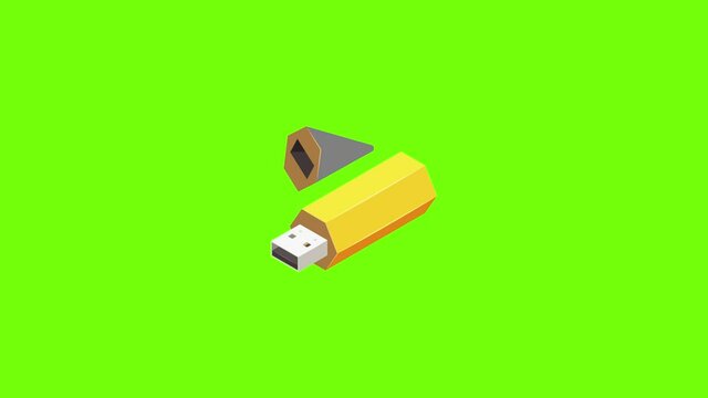 Pen usb flash icon animation