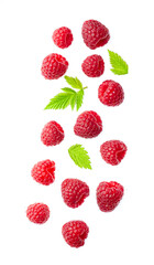 Falling raspberry with leaves