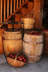 barrels of apples for apple cider
